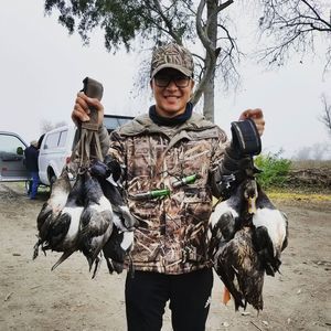 Meet your Posher, Paul